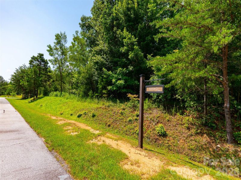 Natural landscape and outdoor views near  in Mill Spring (Image 22).
