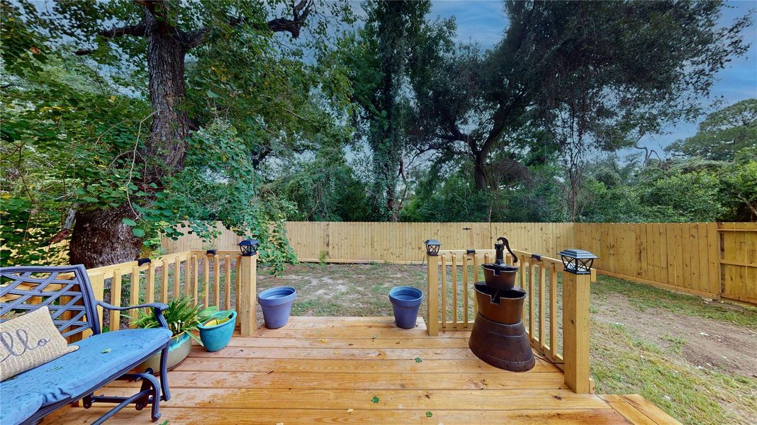 View of backyard which EXTENDS BEYOND the back gate!