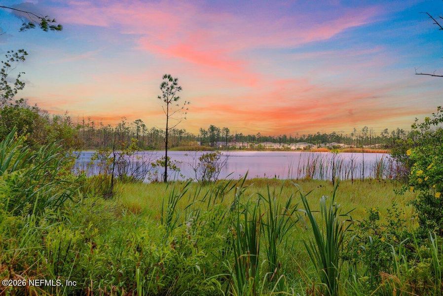Natural landscape and outdoor views near  in Palm Coast (Image 28).