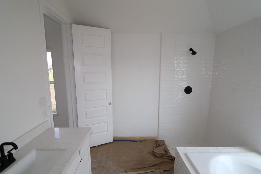 Owner's bath - still under construction!