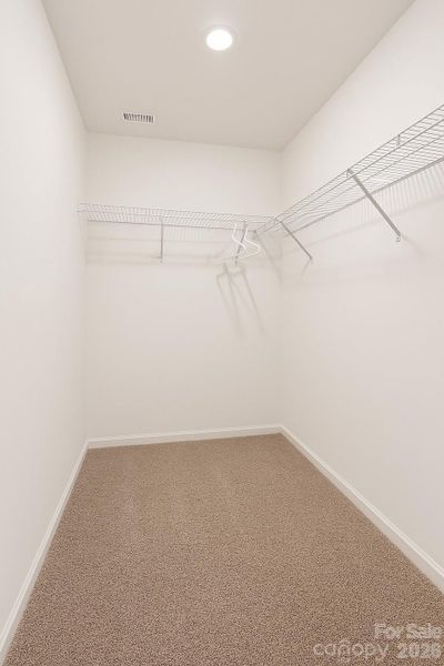 Spacious, unfurnished interior of a new home in Wilkerson Place, York (Image 25).