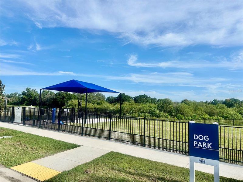 Community amenities in Silverlake, Lake Alfred (Image 36). Community amenities in Silverlake, Lake Alfred (Image 36).