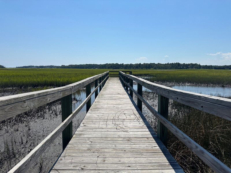Natural landscape and outdoor views near River Hills in Shallotte (Image 11).