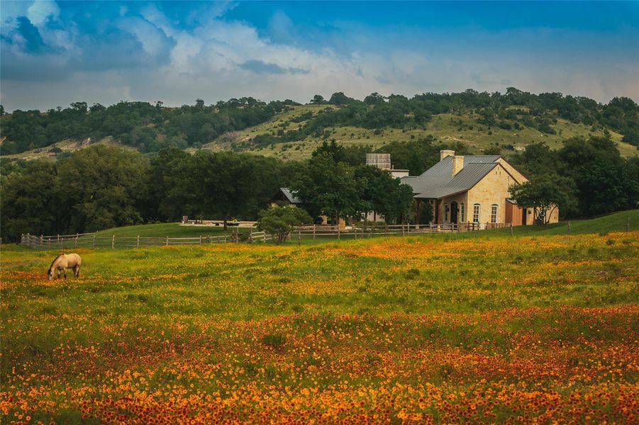 Natural landscape and outdoor views near  in Johnson City (Image 18).