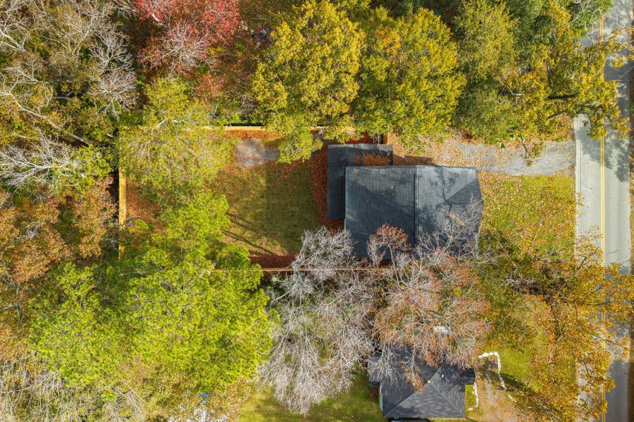 Natural landscape and outdoor views near in Charleston (Image 38). Natural landscape and outdoor views near in Charleston (Image 38).