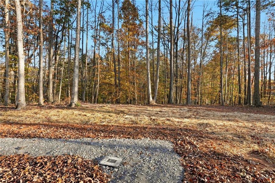 Natural landscape and outdoor views near in Jasper (Image 32). Natural landscape and outdoor views near in Jasper (Image 32).