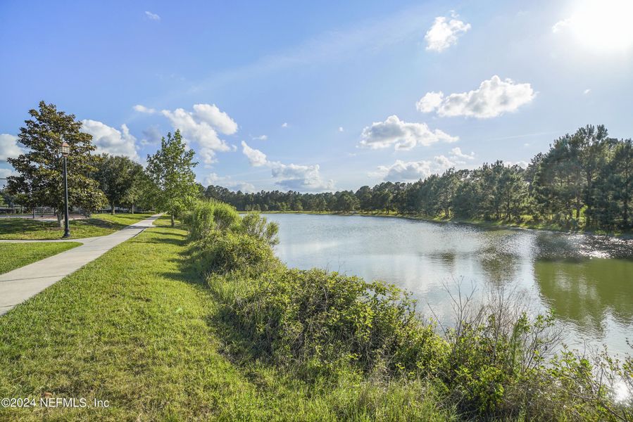 Natural landscape and outdoor views near  in Green Cove Springs (Image 35).
