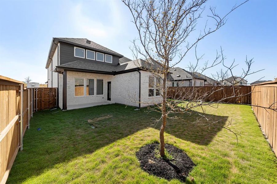 27. 14506 Herschel - Back (2)