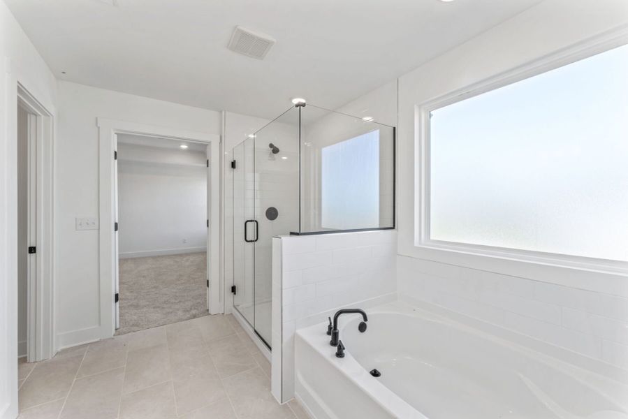 Owner's Bathroom