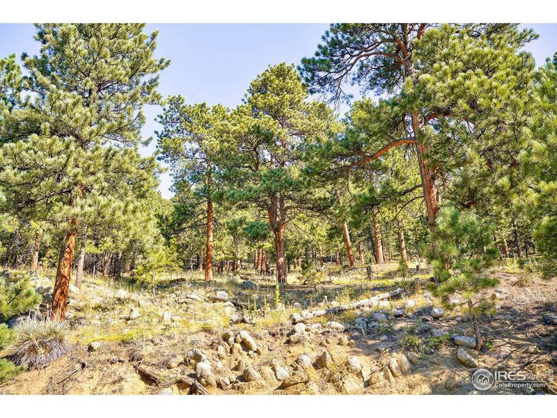 Natural landscape and outdoor views near in Boulder (Image 21). Natural landscape and outdoor views near in Boulder (Image 21).