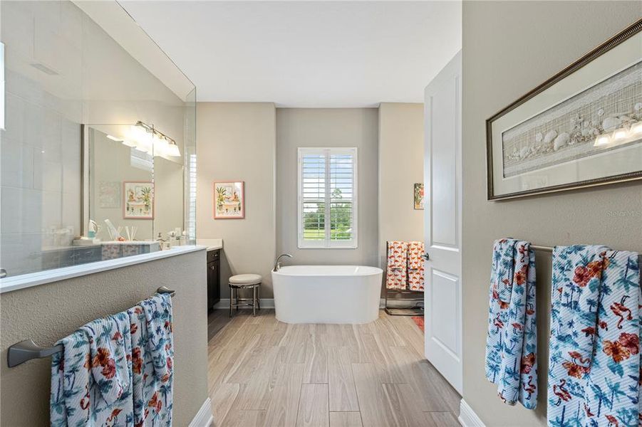 Furnished interior view inside a new home in , Venice (Image 23). Furnished interior view inside a new home in , Venice (Image 23).