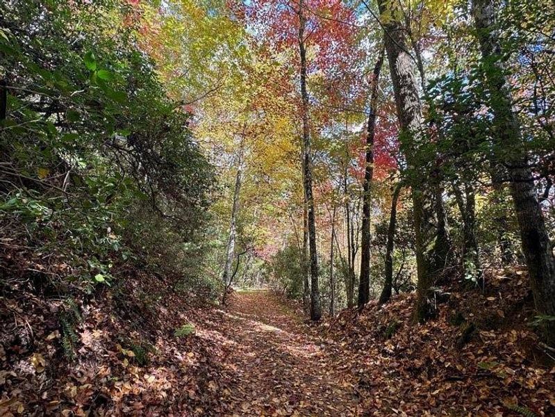 Natural landscape and outdoor views near in Clarkesville (Image 11). Natural landscape and outdoor views near in Clarkesville (Image 11).