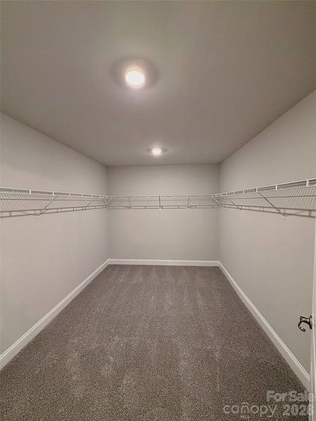 Spacious, unfurnished interior of a new home in Crystal Village, Albemarle (Image 38).