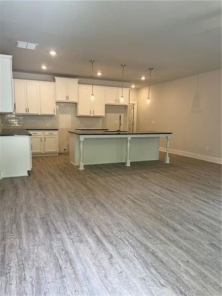 Furnished interior view inside a new home in , Gainesville (Image 45). Furnished interior view inside a new home in , Gainesville (Image 45).