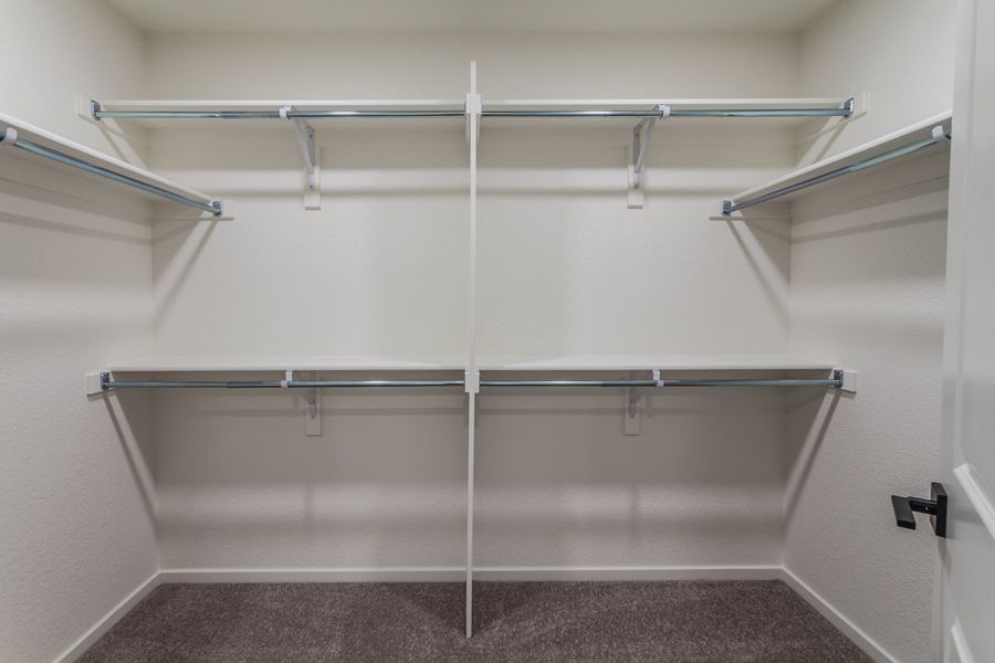 Spacious, unfurnished interior of a new home in Bloom, Fort Collins (Image 25).