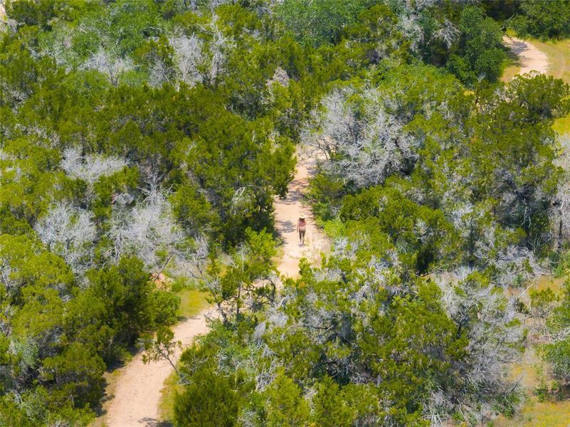 Natural landscape and outdoor views near  in Austin (Image 24).