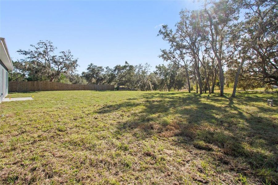 Natural landscape and outdoor views near  in Lake Wales (Image 35).