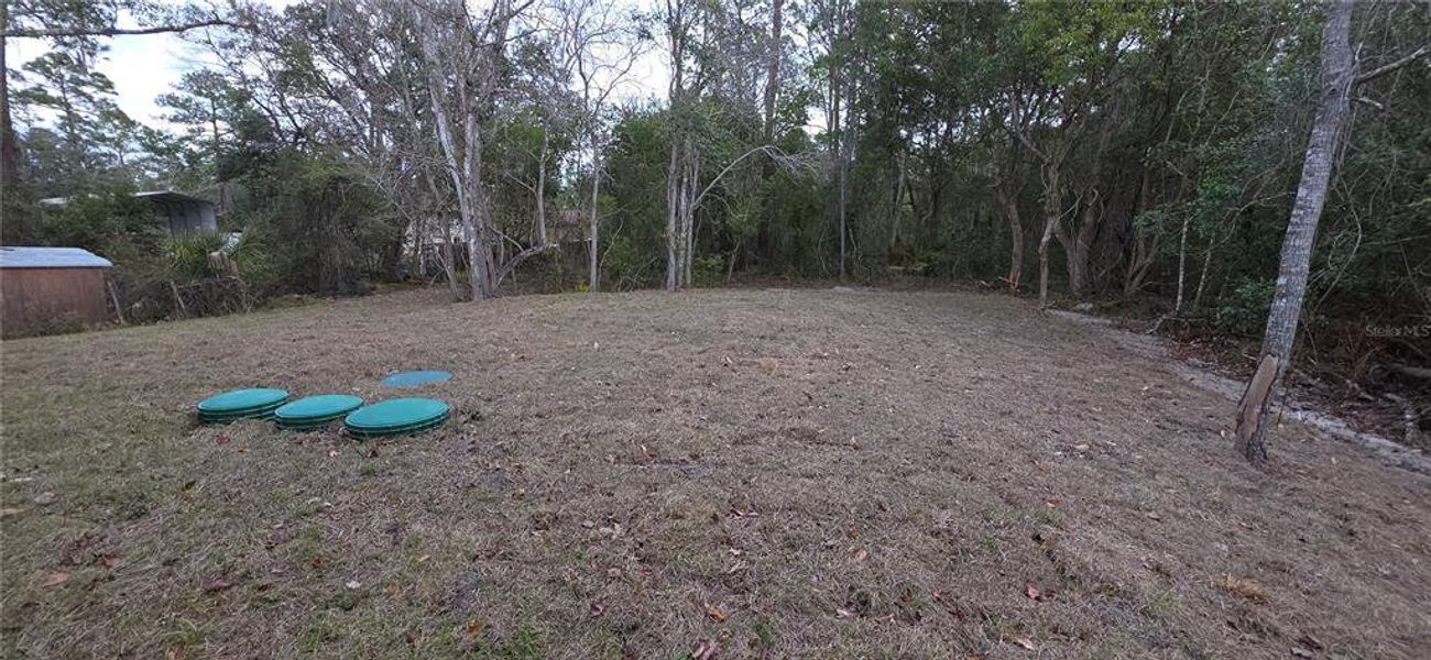 Natural landscape and outdoor views near in Deland (Image 37). Natural landscape and outdoor views near in Deland (Image 37).
