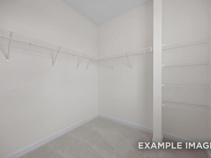 Spacious, unfurnished interior of a new home in Forestville Yard, Knightdale (Image 19).