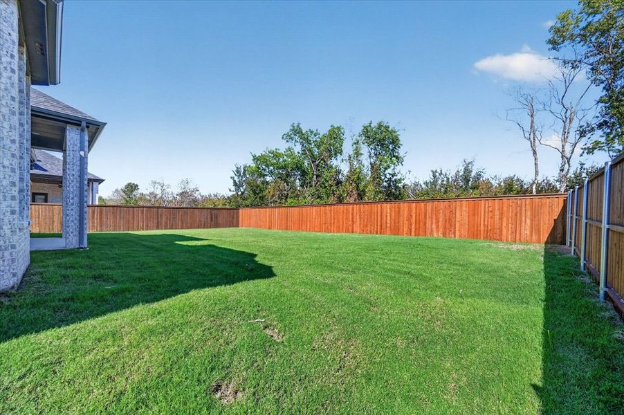 Backyard Backyard