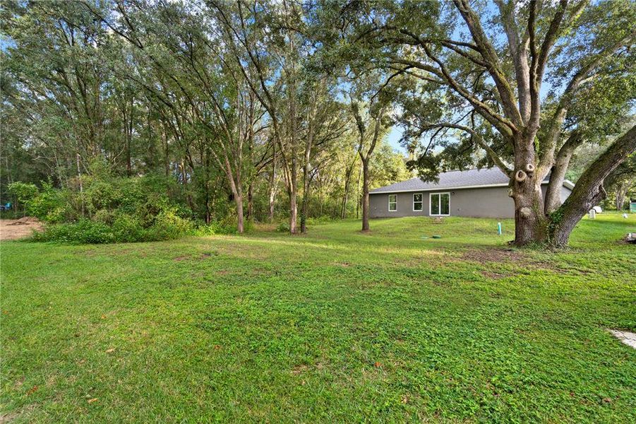 Natural landscape and outdoor views near in Dunnellon (Image 19). Natural landscape and outdoor views near in Dunnellon (Image 19).
