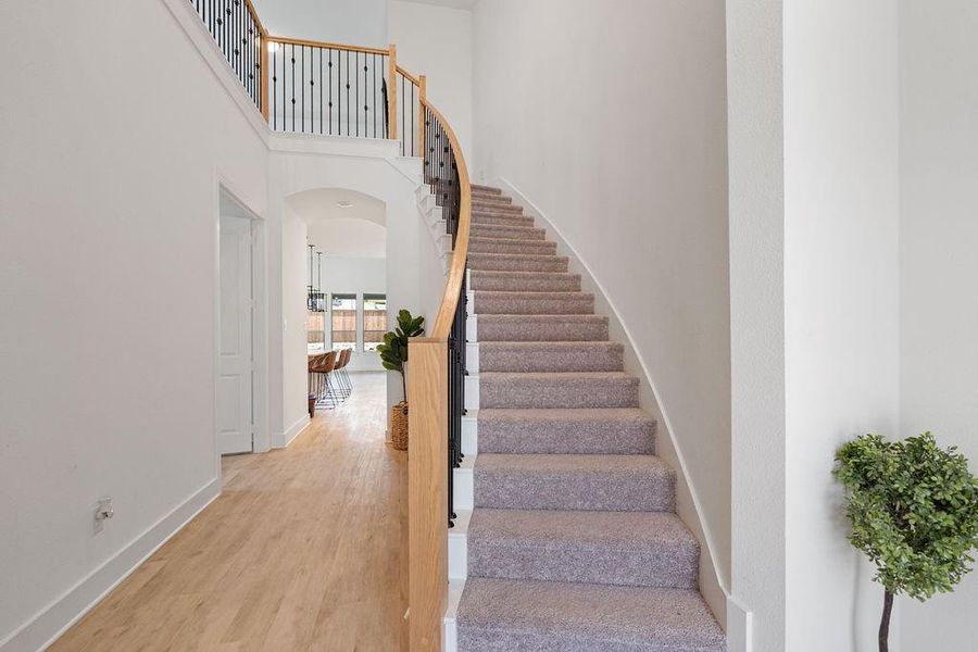 Curved staircase featuring carpeted treads, natural wood handrail, and wrought iron balusters Curved staircase featuring carpeted treads, natural wood handrail, and wrought iron balusters