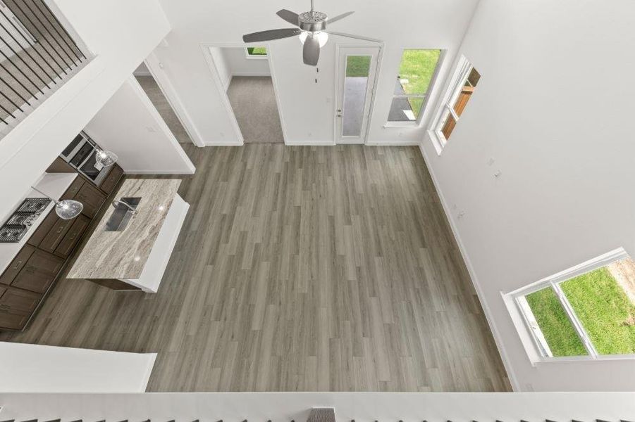 16. 3018 Wallis - Family (4) 16. 3018 Wallis - Family (4)