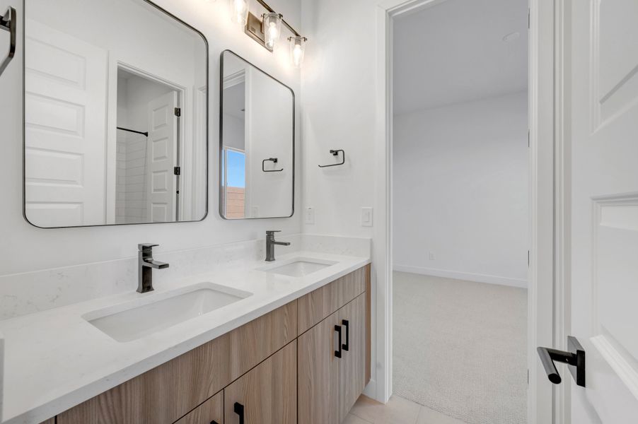 Owner's Bath