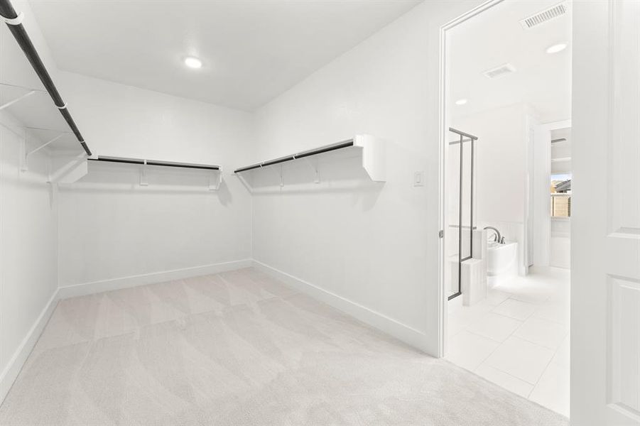 18. 2704 Andesite - Closet 18. 2704 Andesite - Closet