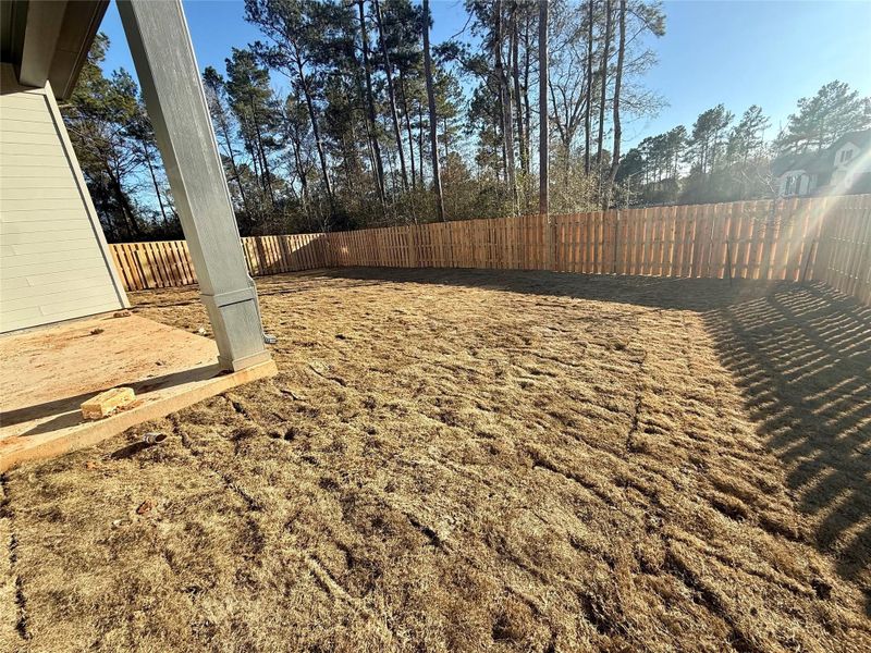 Big rear yard with plenty of room for a pool!