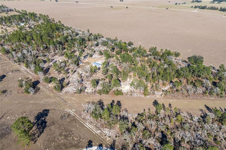 Natural landscape and outdoor views near  in Williston (Image 26).