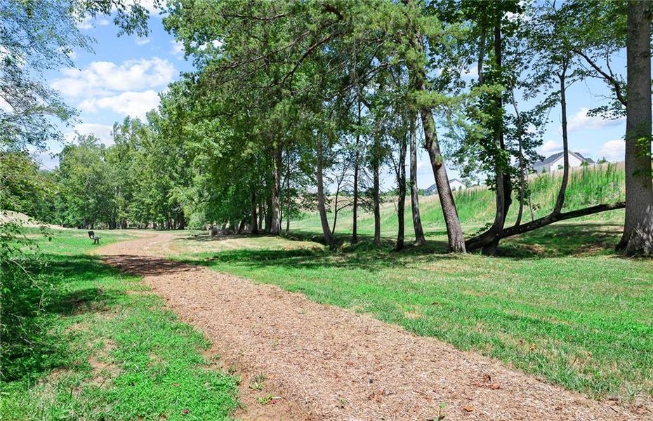 Natural landscape and outdoor views near Berkeley Mill in Cumming (Image 11).