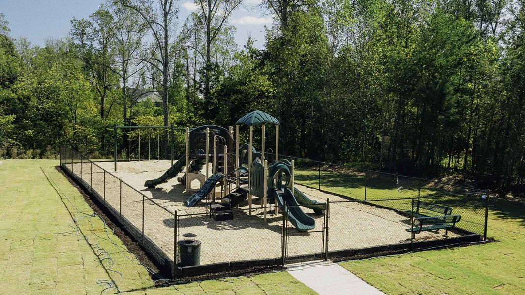 Community amenities in Chandler Pointe, Rural Hall (Image 23).