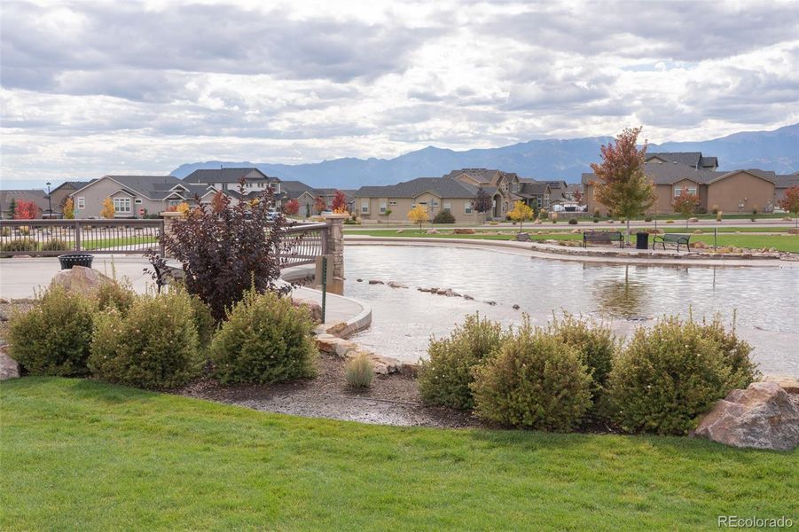 Vibrant community, top schools, ideal location