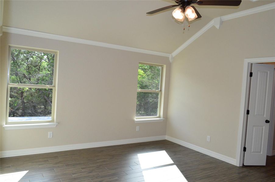 Empty room featuring ceiling fan, plenty of natural light, lofted ceiling, dark wood finished floors, and ornamental molding