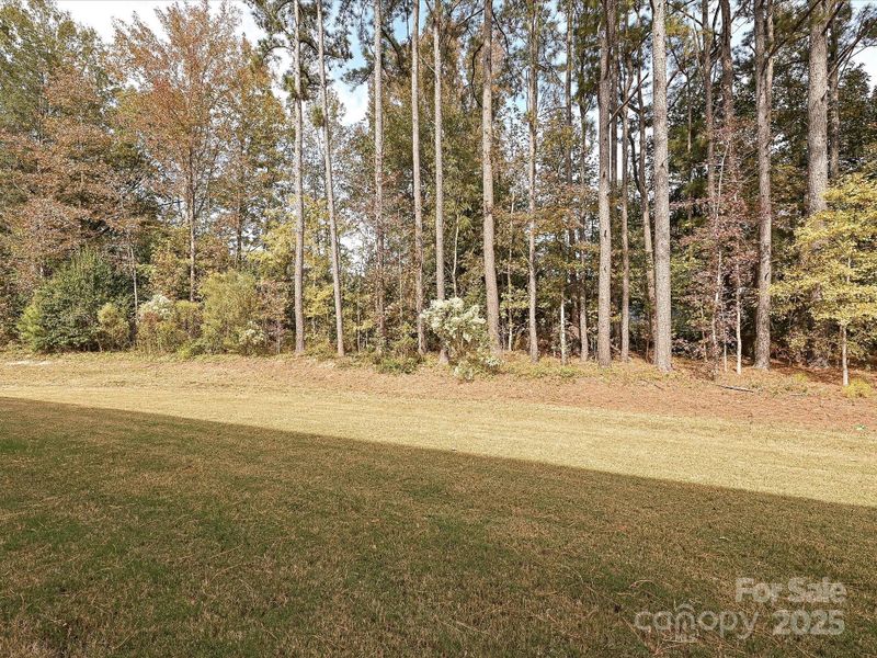 Natural landscape and outdoor views near  in Matthews (Image 25).