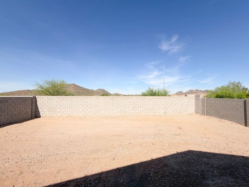 Large backyard Large backyard