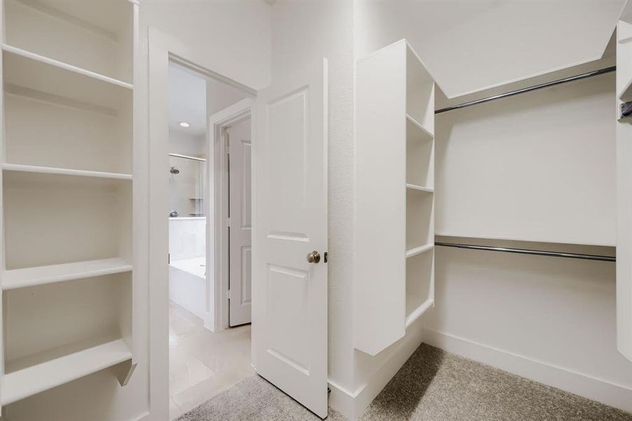 Closet featuring carpet flooring, built-in shelving, and hanging rods