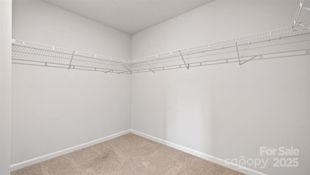 Photos are representative