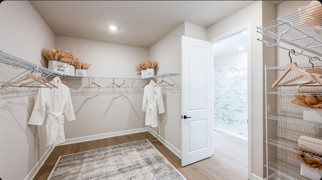 Furnished interior view inside a new home in Lochside, Mount Dora (Image 10).