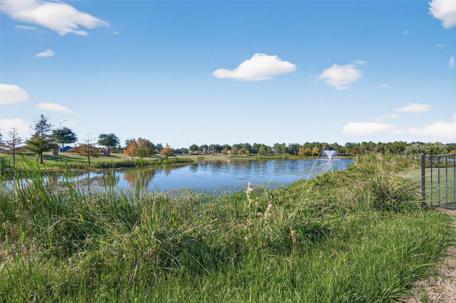 Natural landscape and outdoor views near 55+ Bonterra at Cross Creek Ranch 50s in Fulshear (Image 16).