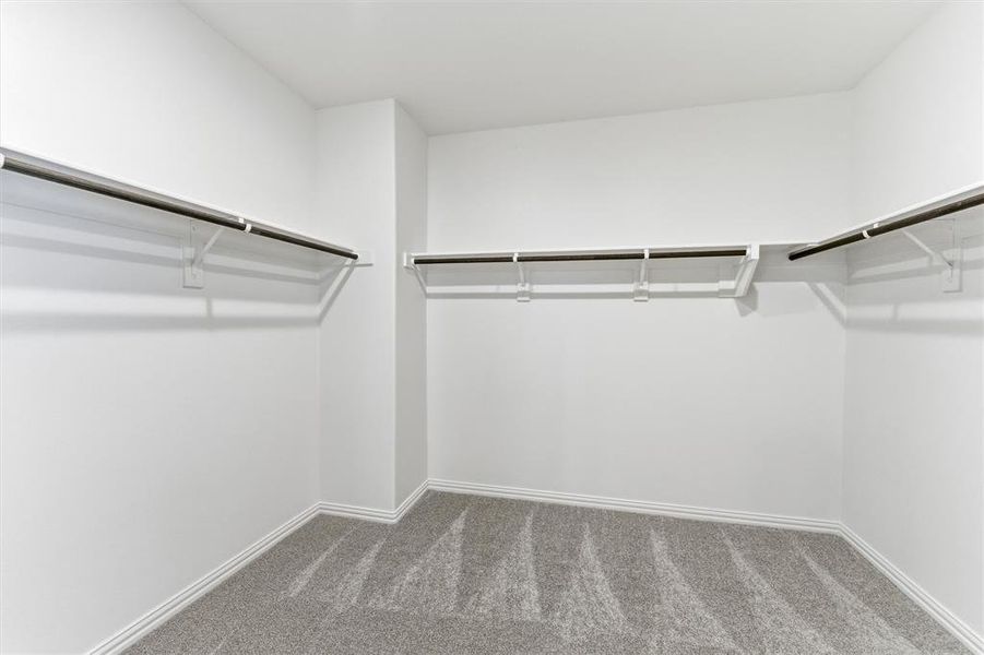 Spacious closet with carpet floors Spacious closet with carpet floors