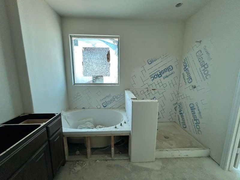 Full bathroom with a garden tub and vanity