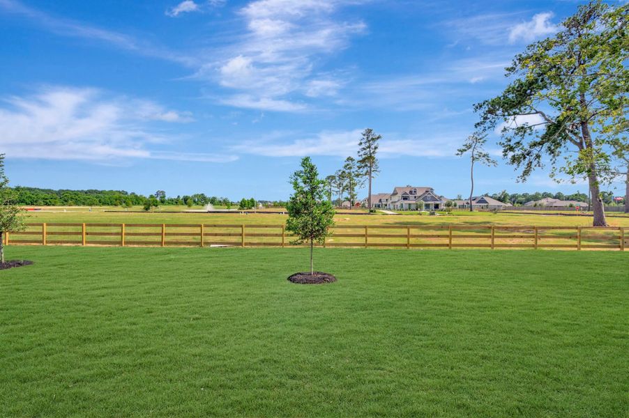 Backyard Backyard