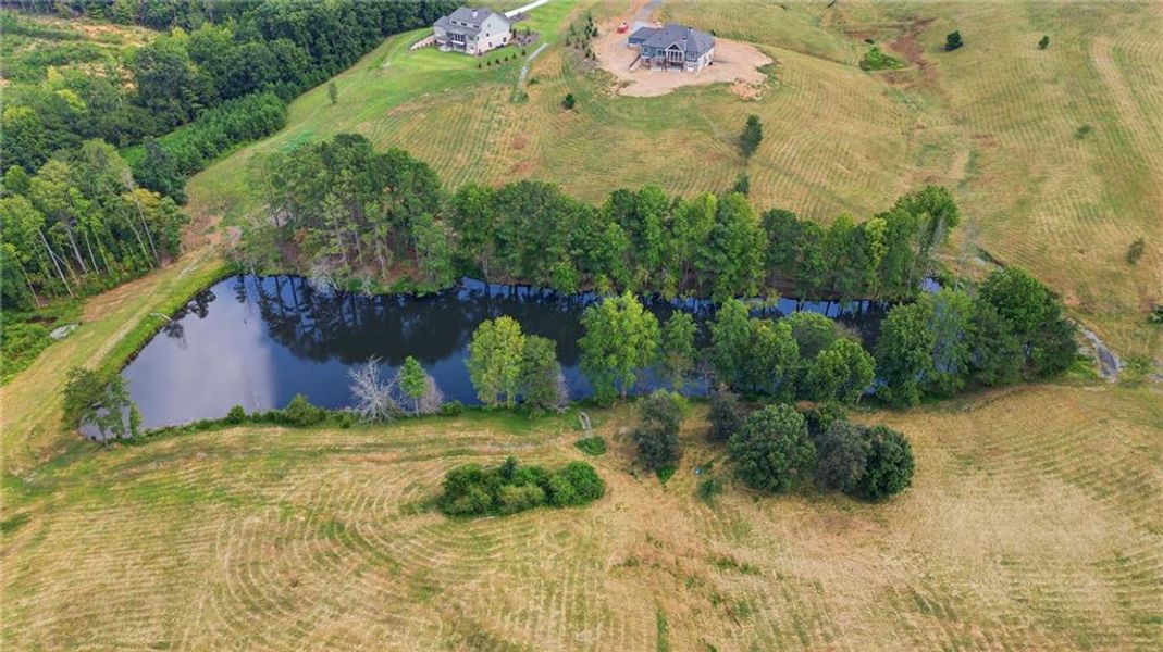 Natural landscape and outdoor views near  in Gainesville (Image 60).