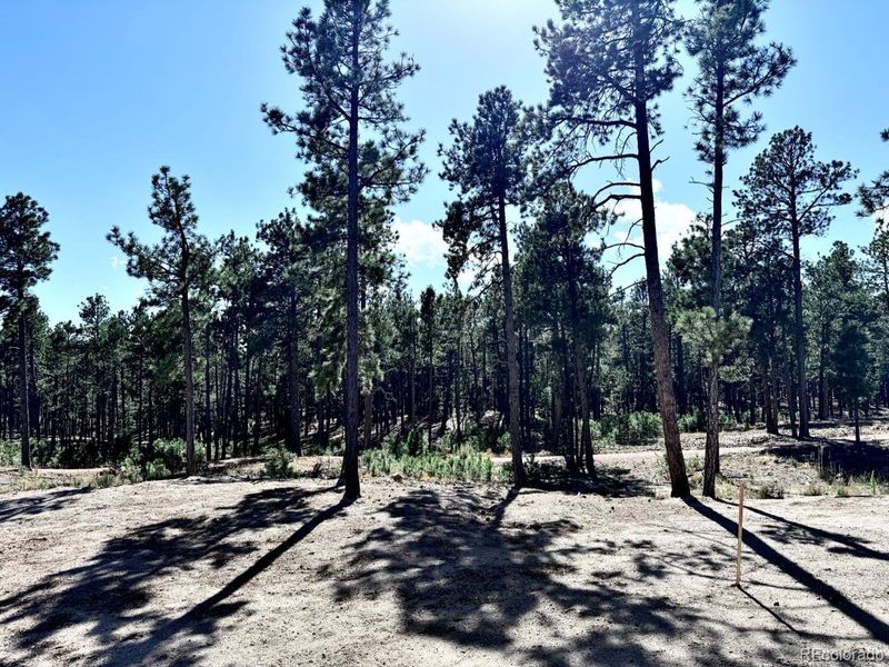 Natural landscape and outdoor views near in Colorado Springs (Image 21). Natural landscape and outdoor views near in Colorado Springs (Image 21).