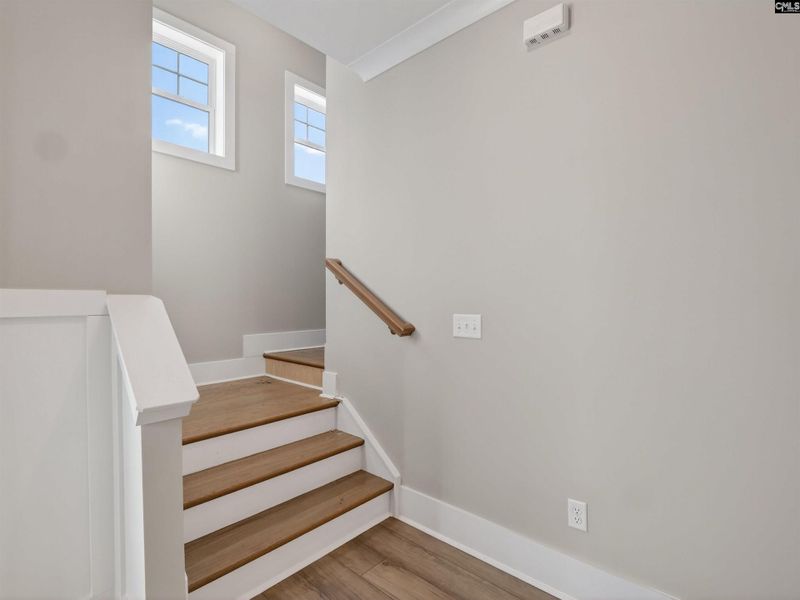 Spacious, unfurnished interior of a new home in Collins Cove, Chapin (Image 45).