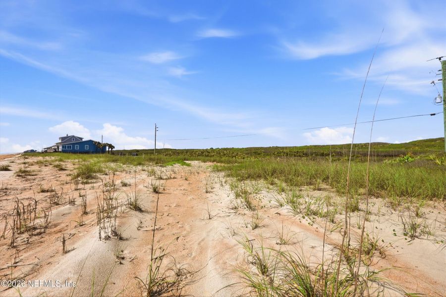 Site preparation for new homesites in , Ponte Vedra Beach (Image 15).