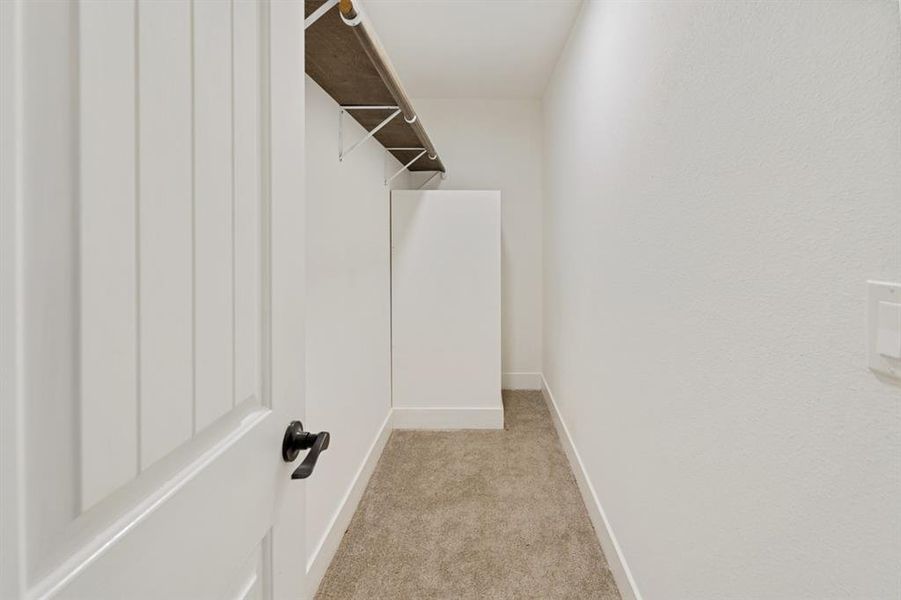 Spacious closet featuring light carpet