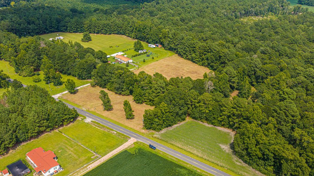 Natural landscape and outdoor views near  in Holly Hill (Image 68).